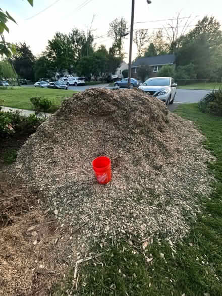 Photo of free Mulch wood chips (Berwyn Heights) #1