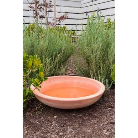 Photo of Bird bath (GL4) #1