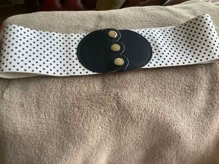 Photo of free Belt (TA6) #1