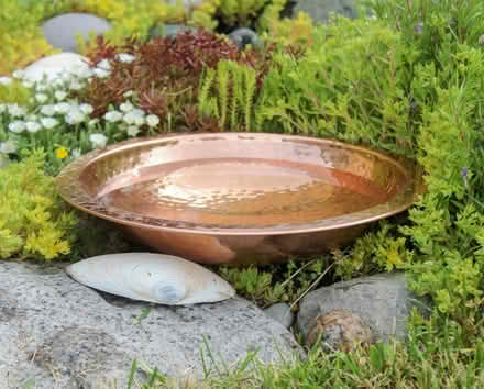 Photo of Bird bath (GL4) #2