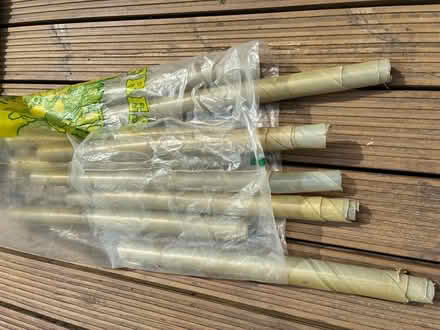 Photo of free Sapling protectors (Fishbourne PO18) #1