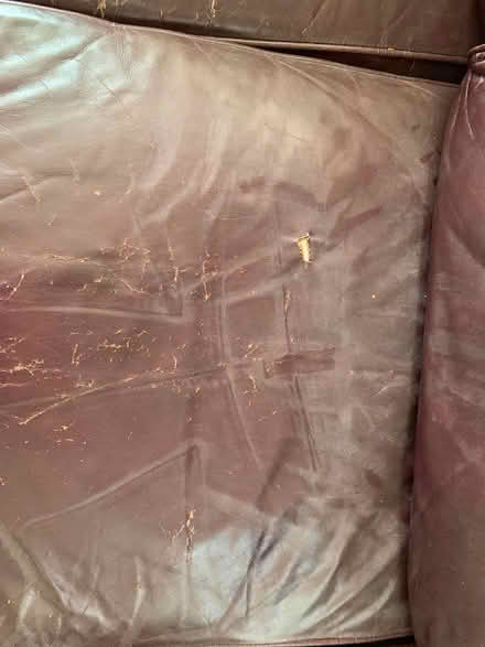 Photo of free Leather Couch (forest park) #4
