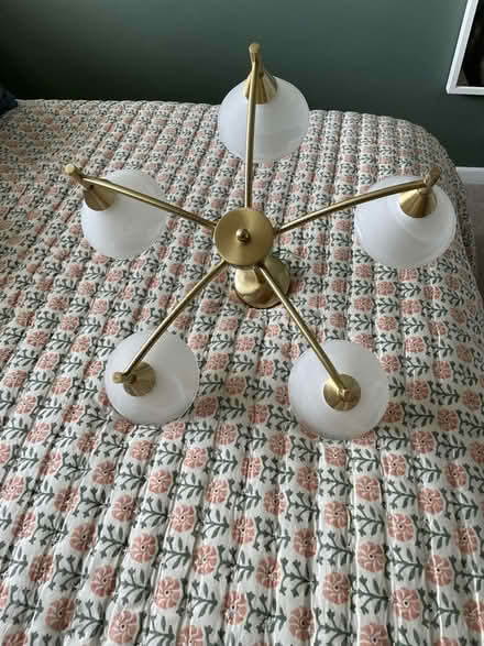 Photo of free Light (Selsey PO20) #3