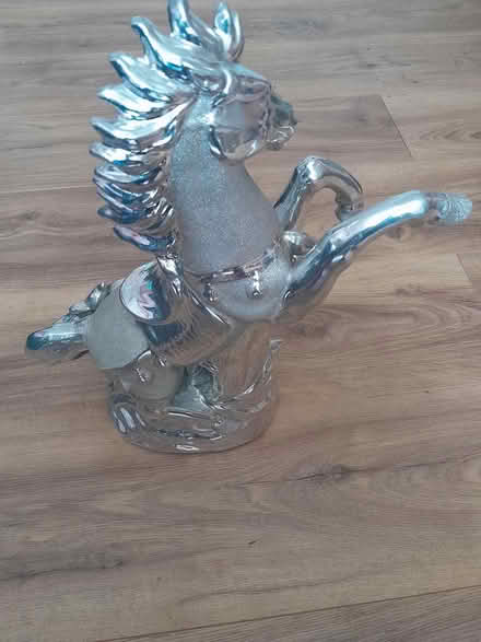 Photo of free Horses ornament (Rochdale, OL11) #3