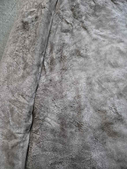 Photo of free Large Dog Bed (Letchworth SG6) #4