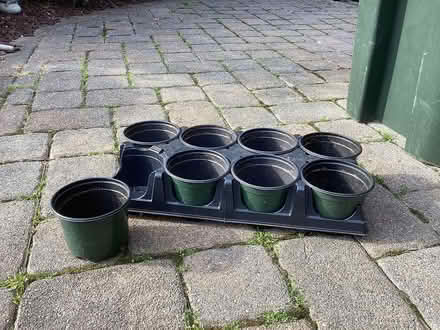 Photo of free 8 Nursery Plant Pots (Laurel Avenue/Takolusa Dr.) #1