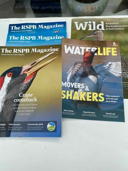Photo of free Wildlife Magazines (Chalfont St Peter SL9) #1