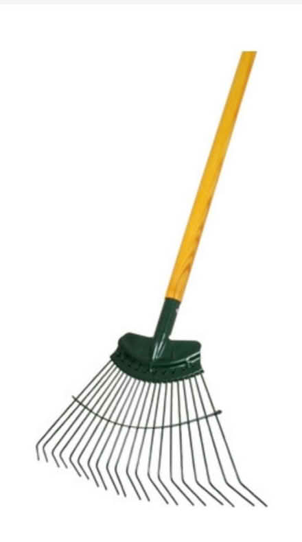 Photo of Spring bok rake (EX1) #1