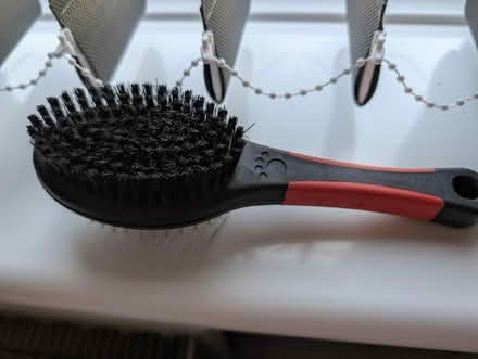 Photo of free Dog brush (Wallsend, NE28) #1