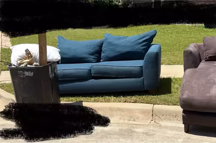 Photo of free CURB ALERT couch & love seat (Burleson, near HEB) #2
