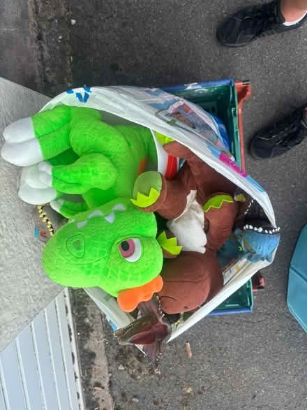 Photo of free Bag of toy dinosaurs (Kingswood) #3