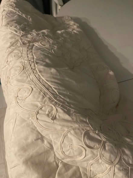 Photo of free Bedspread and king duvet (Lower Earley RG6) #2