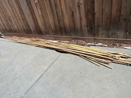 Photo of free Bamboo stakes (Mill Valley) #1