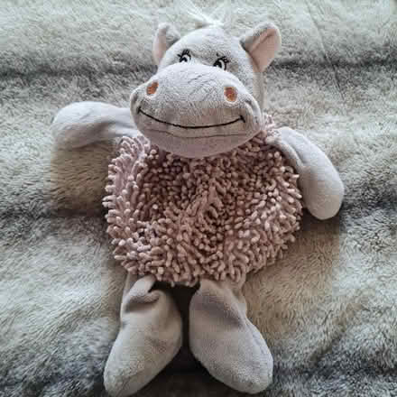 Photo of free Hippo snuggle- with microwaveable wheat bag (The Camp AL4) #1