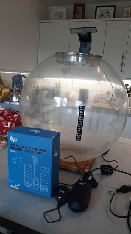 Photo of free bio orb aquarium 60lts (peacehaven) #4