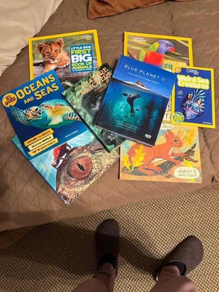 Photo of free Animals books as new (Saint John’s wood NW8) #1