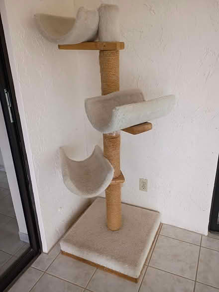 Photo of free Cat tree (Sunrise- near City Hall) #2