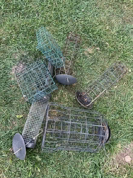Photo of free Bird feeders (Long eaton NG10) #1