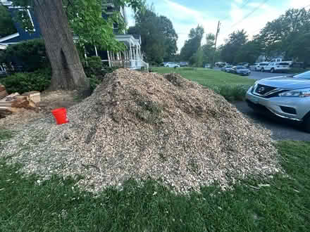 Photo of free Mulch wood chips (Berwyn Heights) #2