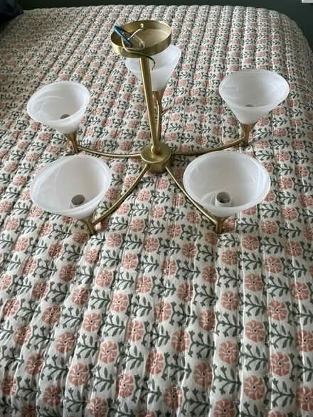 Photo of free Light (Selsey PO20) #2