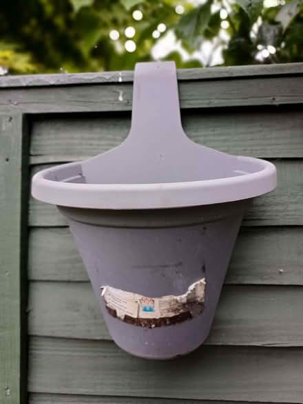 Photo of free Hanging pots (Cainscross GL5) #1