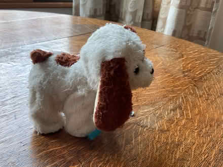 Photo of free Moving, barking toy puppy (West Hill TN34) #1