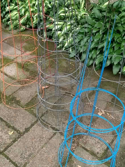 Photo of free Tomato cages (Arlington Mill Community Cntr) #1