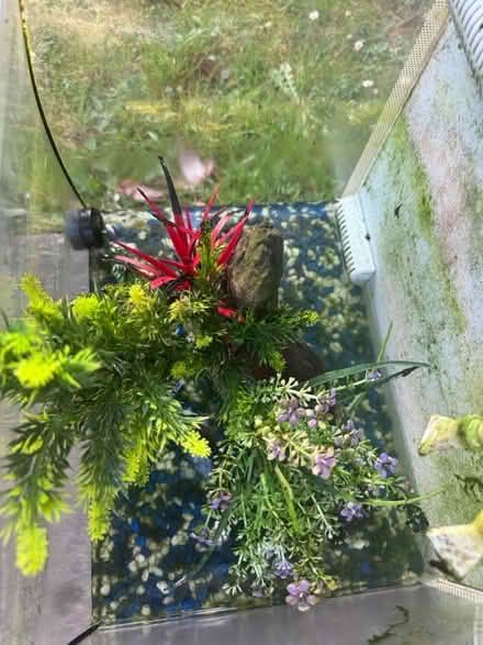Photo of free Fish tank with lights (GL3) #2