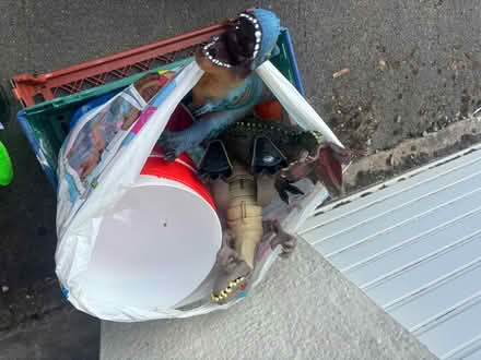 Photo of free Bag of toy dinosaurs (Kingswood) #2