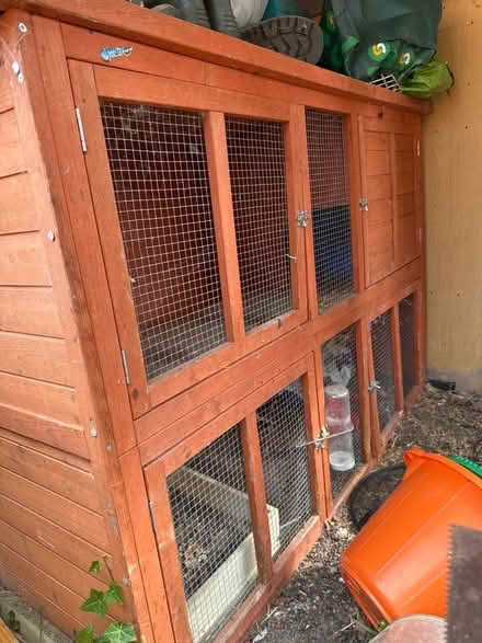 Photo of free Rabbits hatch (Caldecott OX14) #1