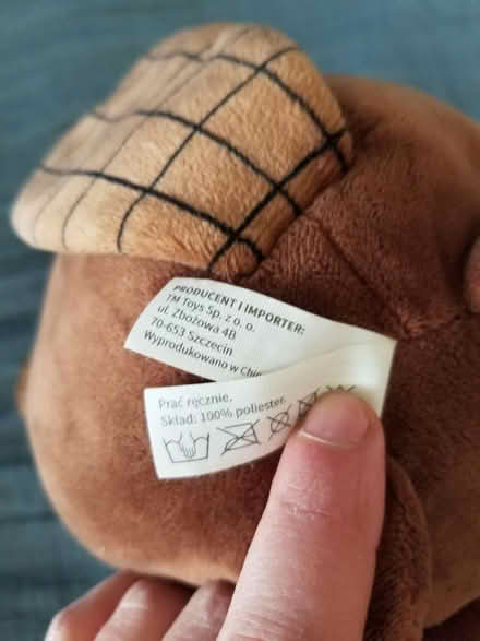 Photo of free Child's soft toy (Gloucester) #3