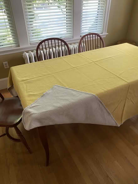 Photo of free Lightweight blanket (Nr Fresh Pond & Mt Auburn Cem.) #1