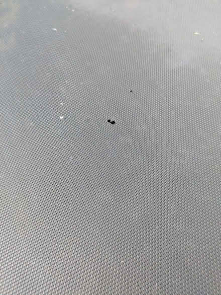 Photo of free 14 ft trampoline (Chesham Bois HP6) #2