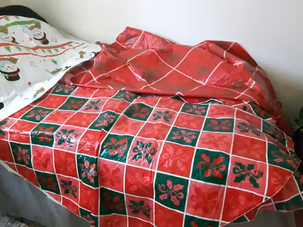 Photo of free Christmas table cloths (near Britannia Plaza) #1