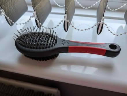 Photo of free Dog brush (Wallsend, NE28) #2