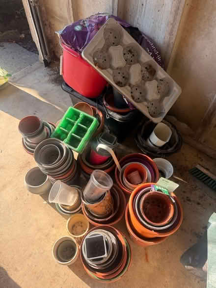 Photo of free Plant Pots (HG1) #2