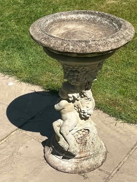 Photo of free Garden statue and bird bath (Cooden Beech) #2