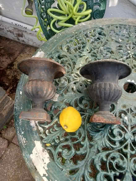 Photo of free Plant pots (Roundhill area brighton) #2