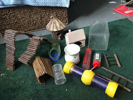Photo of free Dwarf hamster bits (Smallfield Surrey RH6) #1