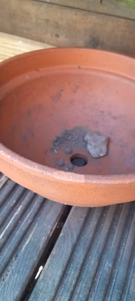 Photo of free Small, shallow clay pot (CO11) #2