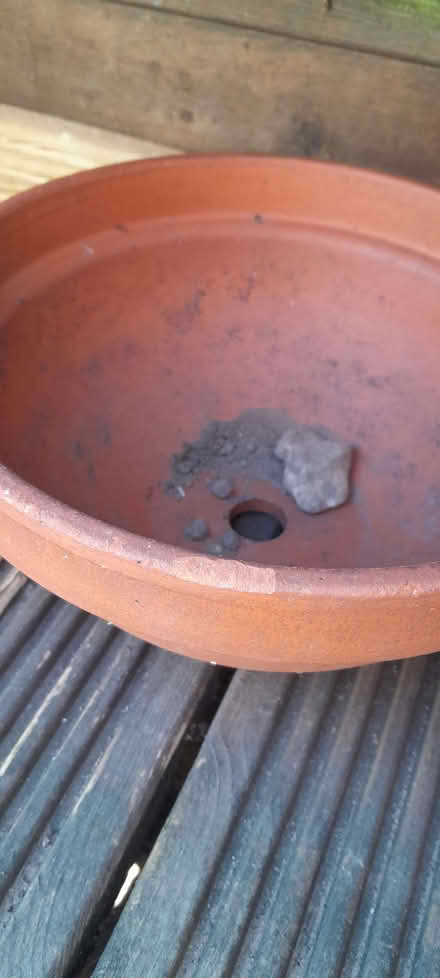 Photo of free Small, shallow clay pot (CO11) #2