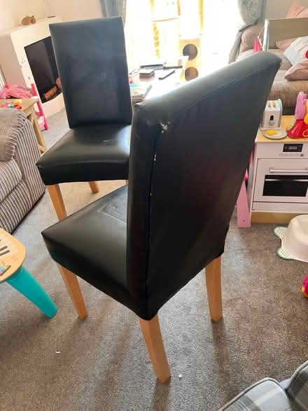 Photo of free Dining Chairs (Annesley NG15) #3