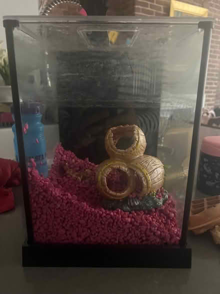Photo of free Small Fish tank with filter (Soho) #1