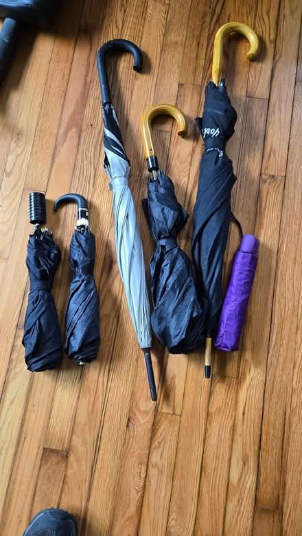 Photo of free Umbrellas (Ulster Park) #1