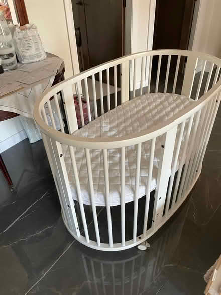 Photo of free Baby Cot (SW15 3HF) #1