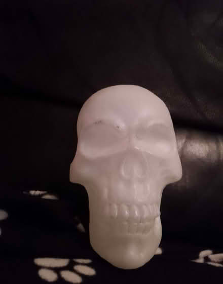 Photo of free Plastic skull with light (Eastbourne BN21) #2