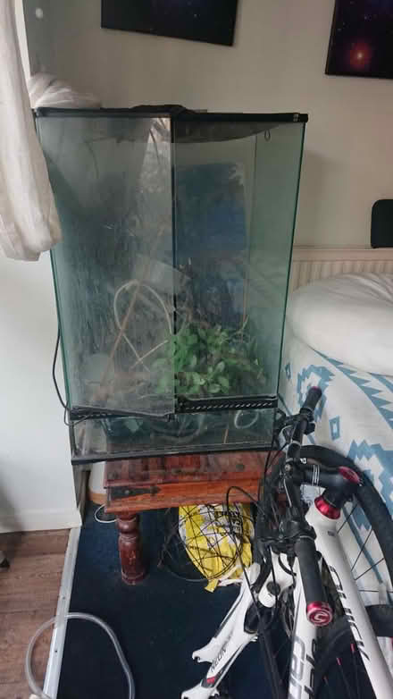 Photo of free Vivarium (Dyke road Brighron) #2