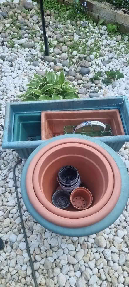 Photo of free Plant pots and troughs (Hailsham BN27) #1