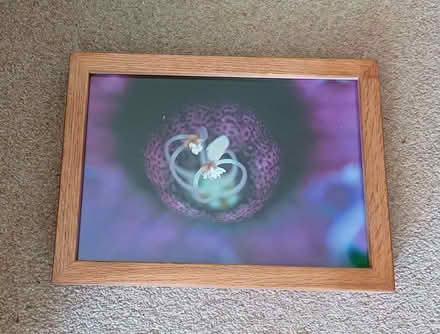 Photo of free Framed picture 4 (Surrenden BN1) #1