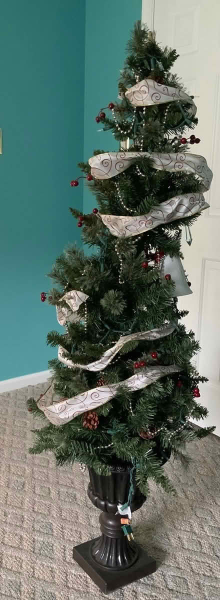 Photo of free Small Xmas Tree (Langhorne-Middletown Township) #1